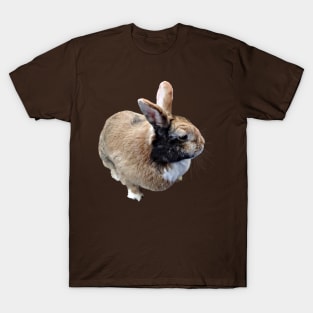 Mini Rex Rabbit T-Shirt